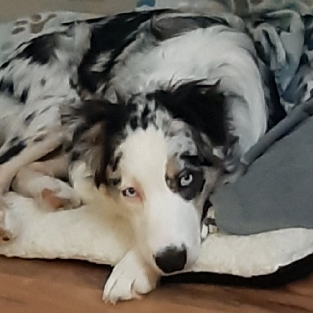 Meet your Posher, Jenni